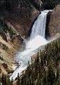 A029 Yellowstone - Lower Fall  94m